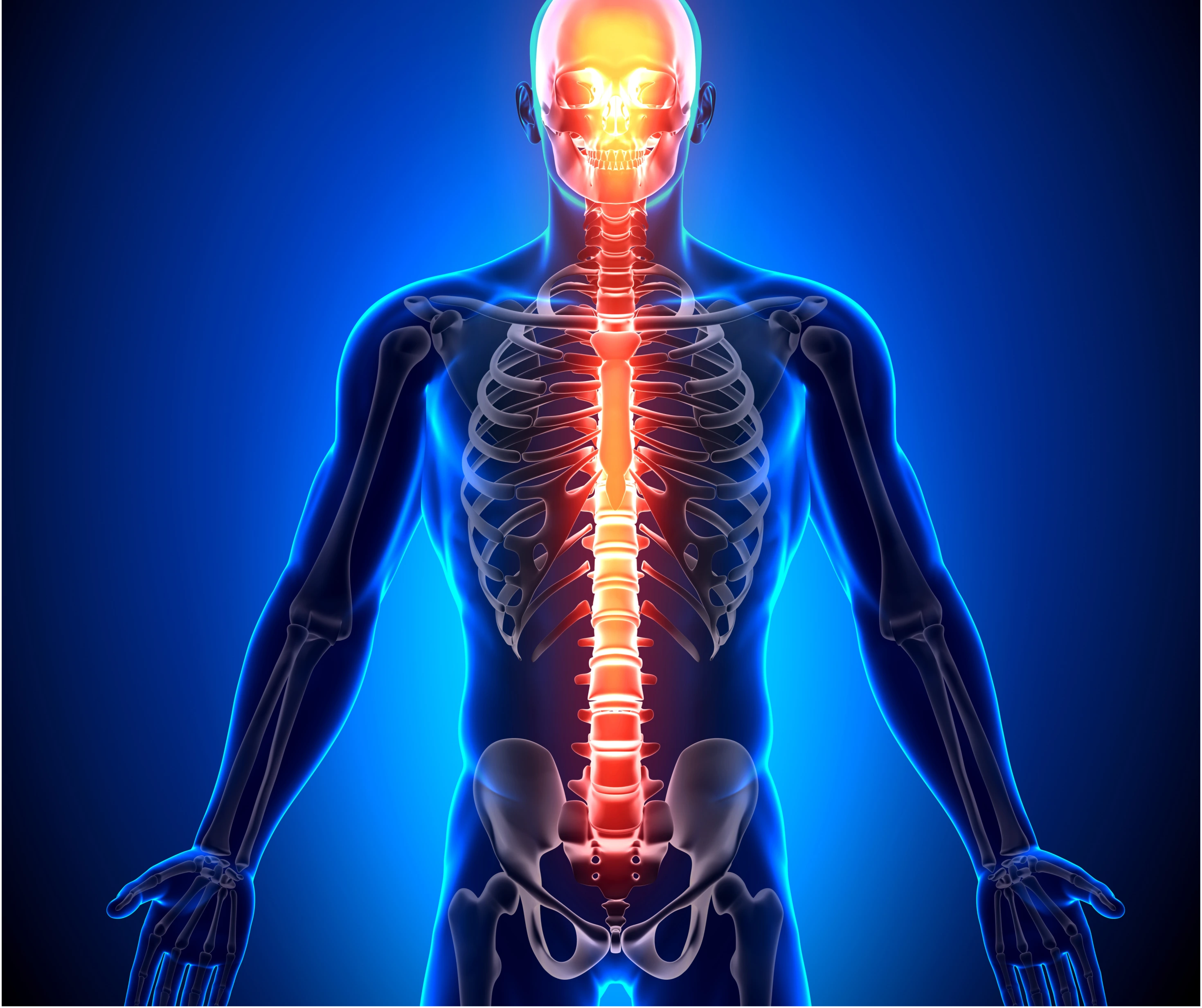 Neuro Spine Surgery at The Medical India