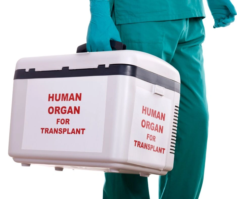 Organ transplant care illustration
