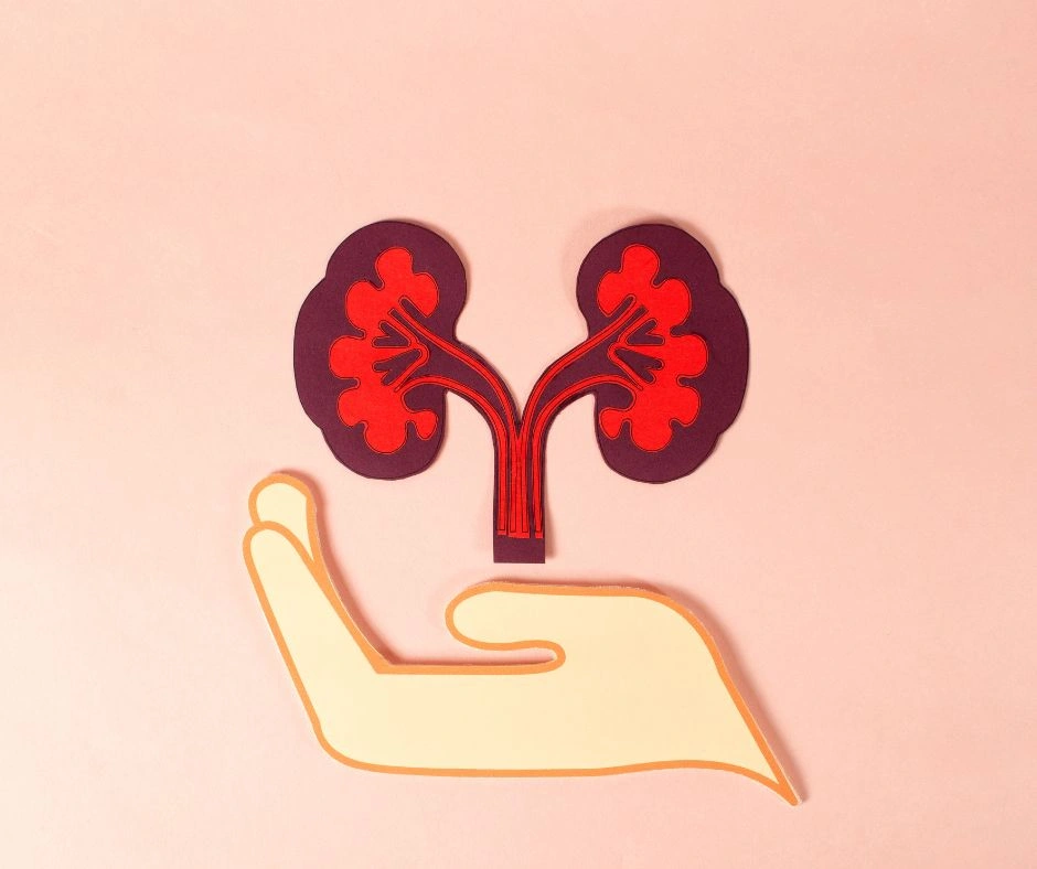 Kidney Transplant at The Medical India