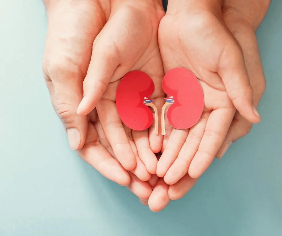 Paediatric Nephrology