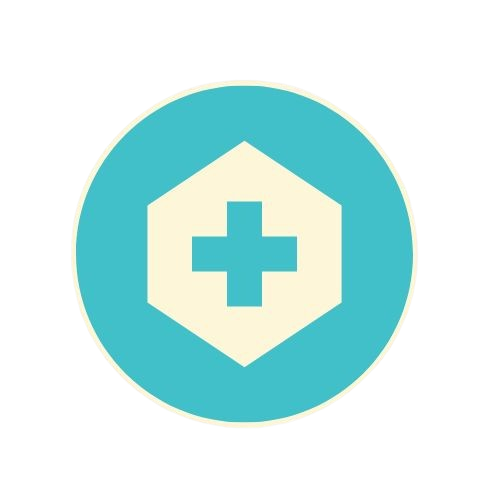 The Medical India Logo
